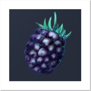 Blackberry Illustration in Colored Pencils Posters and Art